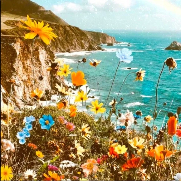 FOLLOW ME! COME SHOP❗️MAKE OFFERS❗️I COUNTER OR ACCEPT! THIS GIRL IS ON FIRE🔥 - Picture 7 of 16